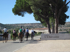 Spain-Central Spain-Vineyard Trail - Ruta del Vino